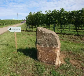 Beschilderung