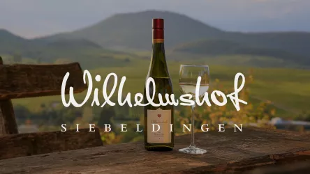 Teaser-Abspann-Online-Weinprobe-Bio-Weingut-Sektgu