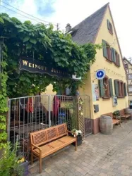 Ein Weinbauernhof mit einer einladenden Fassade und einer grünen Weinrebe. Vor dem Eingang steht eine Holzbank und dekorative Elemente sind sichtbar.