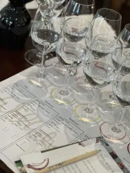 Geschmacksarten-Sensorik-Übungen-Wein-Sensorik-Sem