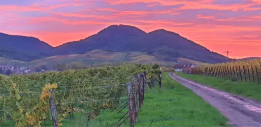 Sonnenuntergang in Siebeldingen