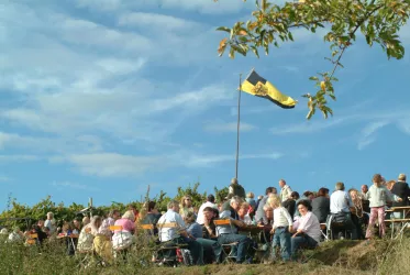 Kulinarische Weinbergswanderung