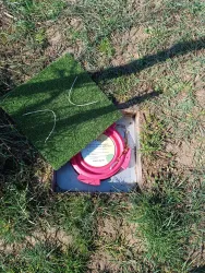 Ein pinker Frisbee liegt auf einer grünen Fläche im Freien. Neben dem Frisbee befindet sich eine abgedeckte Schachtel aus Karton.