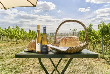Weinbergwanderung_mit_Pickncik_Bio_Wein_und_Sektgu