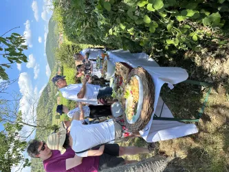 Picknick-im-Weinberg-Dagobertshecke-Bio-Wein-und-S
