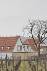 25-CW80-OIS-Siebeldingen-31 Kopie