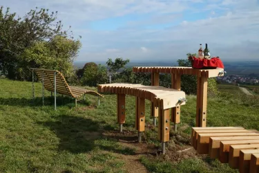 Rast mit Ausblick am Patricia Wingert (© Sparkasse Rhein-Haardt, Maria Schardt)