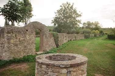 Merowingischer Königshof