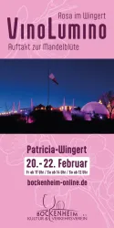1 KVV-VinoLumino-Flyer-VS