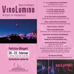 2 KVV-VinoLumino-Flyer