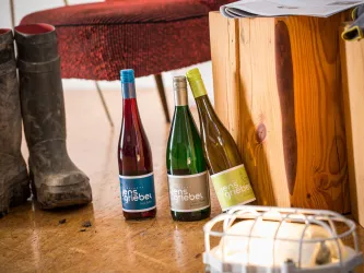 Drei Flaschen Wein stehen neben einer Holzbox und Gummistiefeln. Im Hintergrund sind ein roter Stuhl und ein Lichtschein zu sehen.