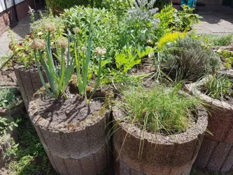Garten Kräuter (© Heinz Horn)