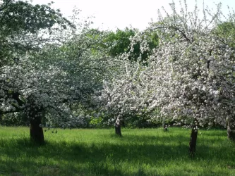 Garten (© Klammroth)