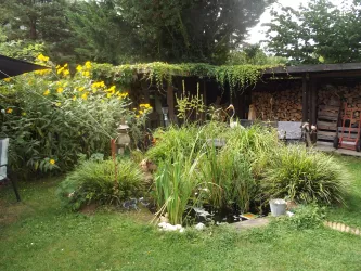 FEWO 1 Kleiner Teich