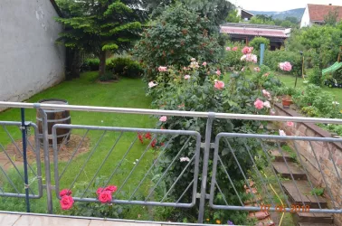 Blick zum Garten