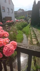 Der Hainbach in Böchingen