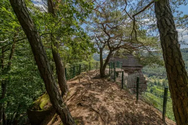 Ein schöner Aussichtspunkt im Wald, umgeben von Bäumen und einem Blick ins Tal. Der Weg ist gut ausgebaut und von einem Zaun gesichert.