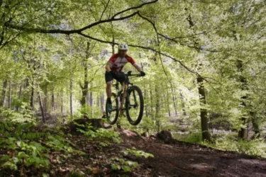 Trails I