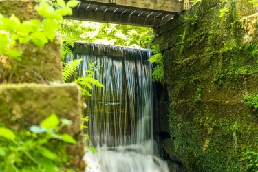 Ein kleiner Wasserfall fließt über moosbedeckte Steine. Im Hintergrund ist eine Holzbrücke zu sehen, umgeben von üppigem Grün.