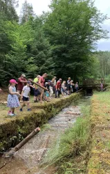 Eine Gruppe von Menschen steht an einem kleinen Wasserlauf im Wald. Sie beobachten das Wasser und interagieren mit der Umgebung.