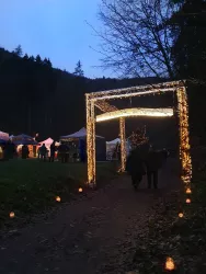 Rinnthaler Winterwald 1 (© Vanessa Seibel)