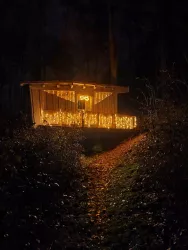 Rinnthaler Winterwald 3 (© Vanessa Seibel)