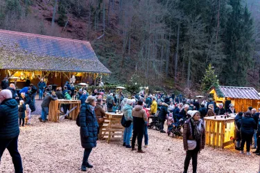 Eine große Menschenmenge versammelt sich in einem Waldgebiet. Im Hintergrund sind Stände und ein Holzgebäude zu sehen, umgeben von Bäumen.