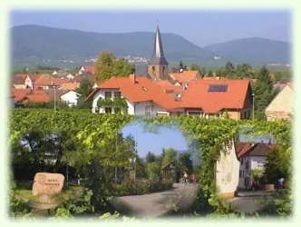 Übersicht Roschbach (© Ortsgemeinde Roschbach)