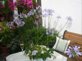 Sitzgelegenheit im Hof (© Frau Roth)