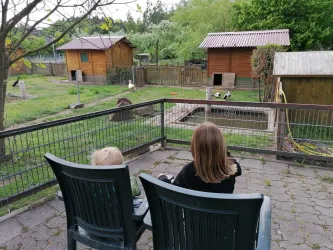 Zwei Personen sitzen auf Stühlen und beobachten einen Tiergehege mit Holzunterkünften. Im Hintergrund sind Tiere zu sehen, und die Umgebung ist grün und ruhig.
