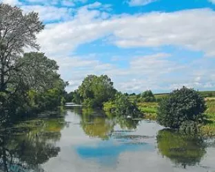 Rheinauenlandschaft (© Südpfalz - Tourismus VG Rülzheim e.V.)