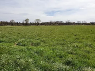 Wein- und Wiesenweg Minfeld-Freckenfeld