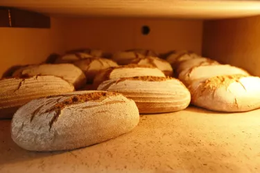 Frisches Brot (© Dorfmarkt Schoßberghof, Minfeld)