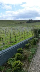 Ausblick