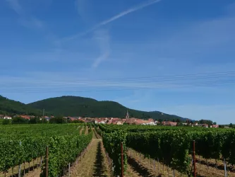 Ausblick auf Frankweiler