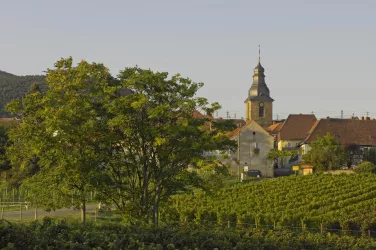 Blick auf Frankweiler (© Thomas Haltner, Bildarchiv SÜW e.V.)