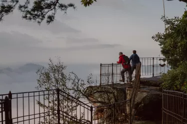 Über dem Nebelmeer auf dem Orensfels (© flocreates, Landau-Land)