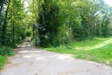 Auenweg (© Stadt Speyer  Schmitt)
