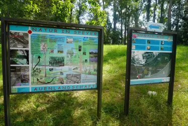 Lehrtafel Auenlandschaft (© Stadt Speyer  Schmitt)