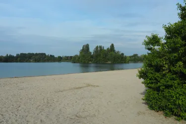 Ein ruhiger Sandstrand am Wasser mit grünen Bäumen im Hintergrund. Der Himmel ist bewölkt und es herrscht eine friedliche Atmosphäre.