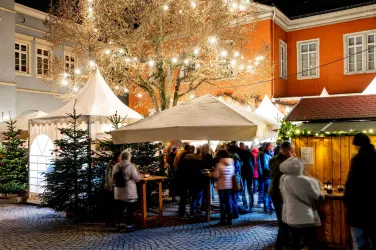 Ein festlicher Markt bei Nacht mit beleuchteten Ständen und geschmückten Bäumen. Viele Menschen genießen die Atmosphäre und die Angebote.