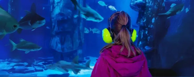 Ein Mädchen mit grünen Ohrenschützern steht vor einem großen Aquarium. Im Wasser schwimmen verschiedene Fische, darunter Haie.