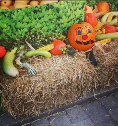 Bauernmarkt3 (© Stadt Speyer)