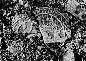 Zwei zerbrochene Grabsteine liegen zwischen Blättern. Die Steine zeigen Symbole und Inschriften.