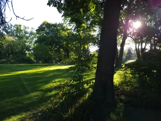 Picknickkonzert Adenauerpark (© Stadt Speyer)