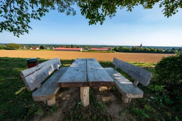 Steinfeld Picknickplatz (© Tourismusverein Bad Bergzaberner Land e.V.)