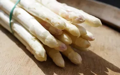 Martinshof Spargel (© Weingut Martinshof)