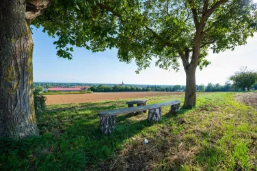Picknickplatz über Steinfeld_Bank und Hocker (© Tourismusverein Bad Bergzaberner Land e.V.)