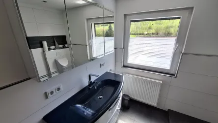 Ein modernes Badezimmer mit einem schwarzen Waschbecken und großen Spiegeln. Durch das Fenster ist eine grüne Landschaft zu sehen.