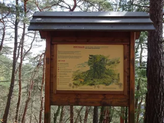 Walderlebnisweg Schindhard (© Jacques Noll)